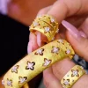 ANILLO CROSS