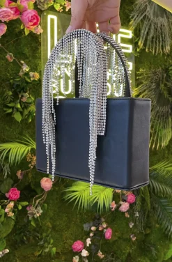 BOLSO CRISTALES CURIE