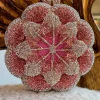BOLSO FLOR TONOS ROSA