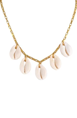 COLLAR CHAIN COWRIES