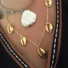 COLLAR COWRIES CADENA CONCHAS 24K