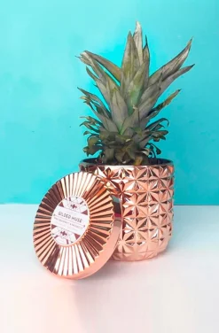 GILDES MUSE PINK GRAPEFRUIT & PROSECCO GRANDE