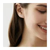 PENDIENTES CIRCONITAS PLATA