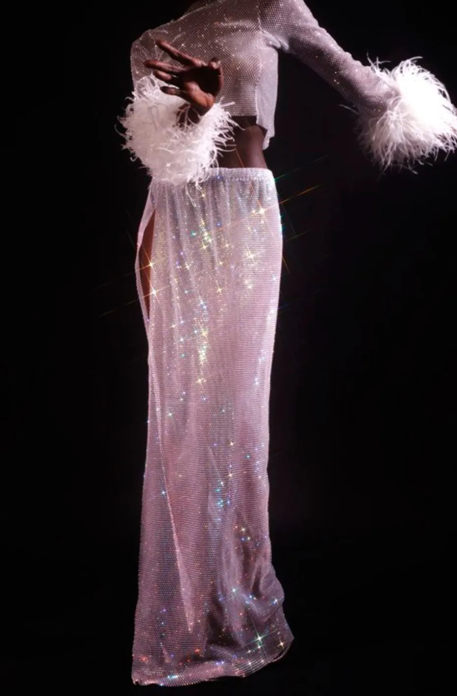 TOP PLATA CRISTALES Y PLUMAS