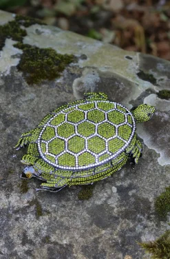 TURTLE CLUTCH